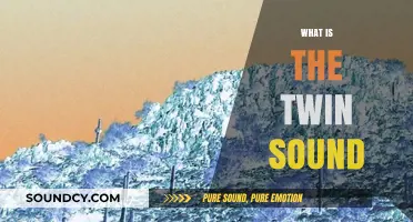 Unveiling the Twin Sound: Exploring the Unique Auditory Phenomenon