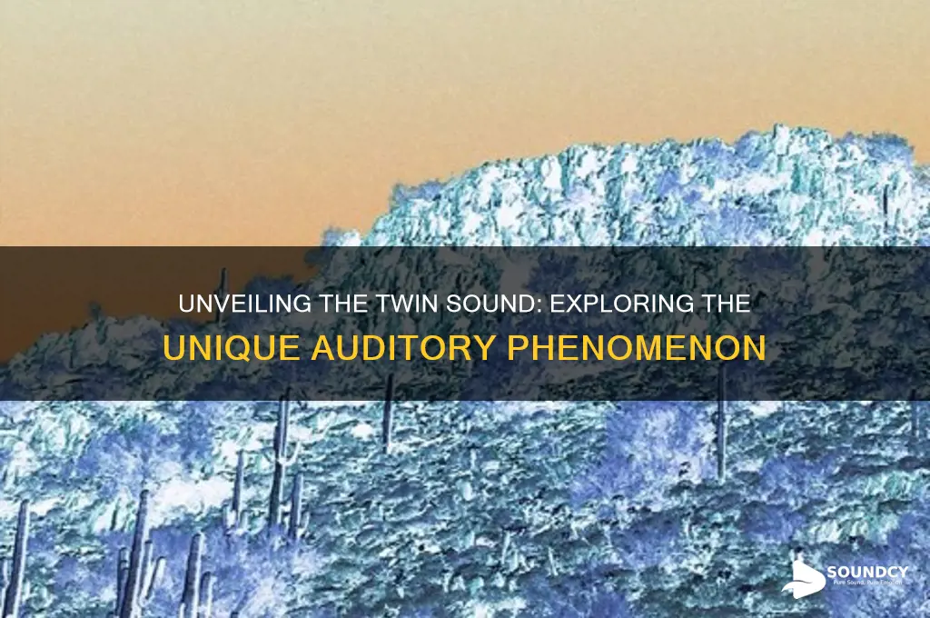 what is the twin sound
