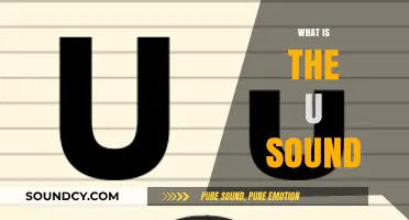 Understanding the U Sound: Phonetics, Pronunciation, and Usage Explained