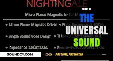 Exploring the Universal Sound: Uniting Humanity Through a Shared Frequency