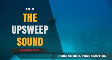 Unraveling the Mystery: What is the Upsweep Sound in the Ocean?