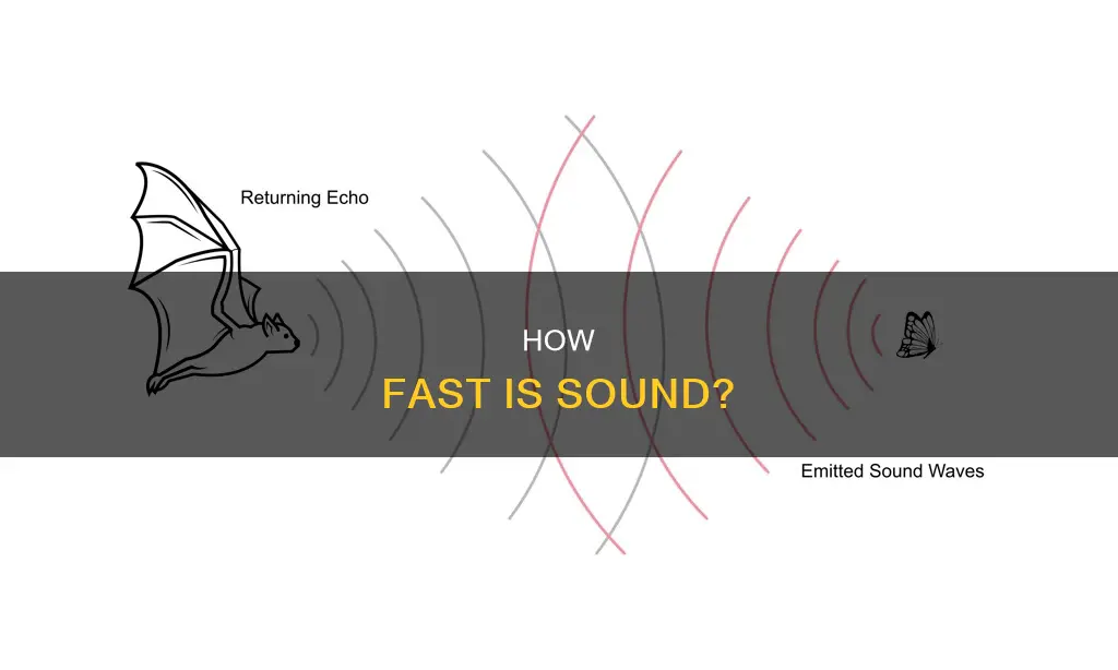 what is the velocity of sound
