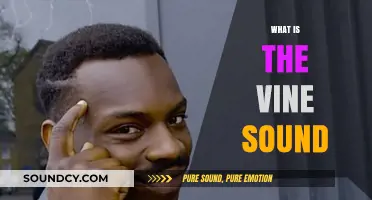 Understanding the Viral Vine Sound: Origins, Impact, and Cultural Significance
