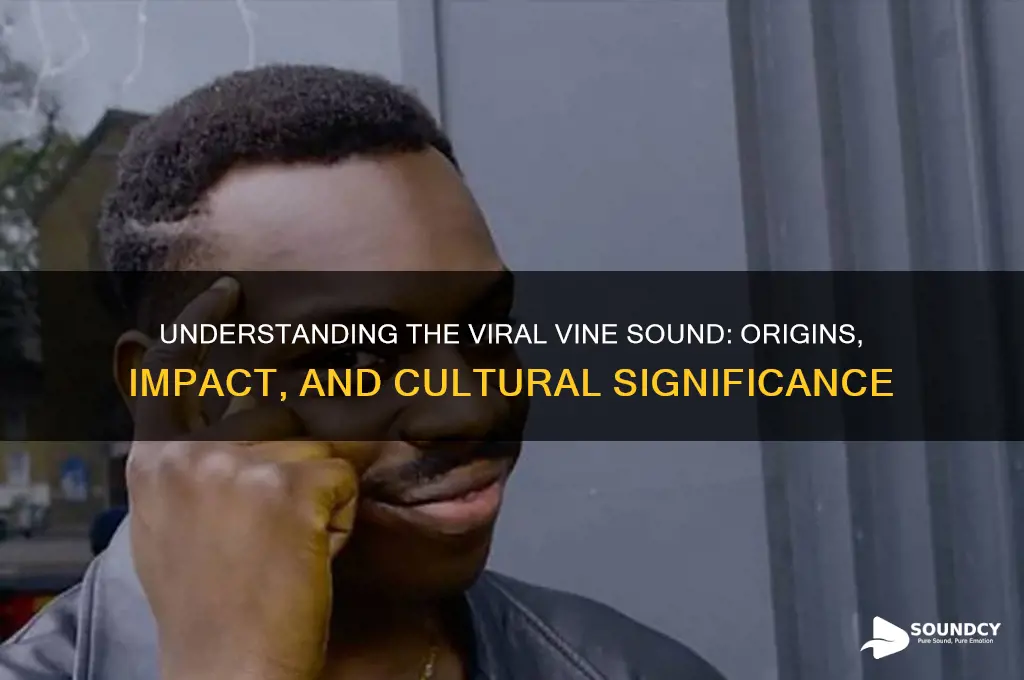 what is the vine sound