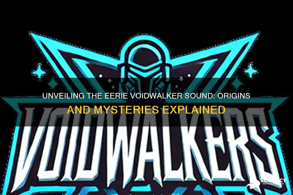 what is the voidwalker sound