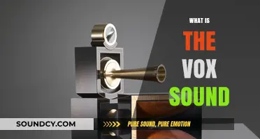 Unveiling the Vox Sound: Origins, Techniques, and Iconic Applications