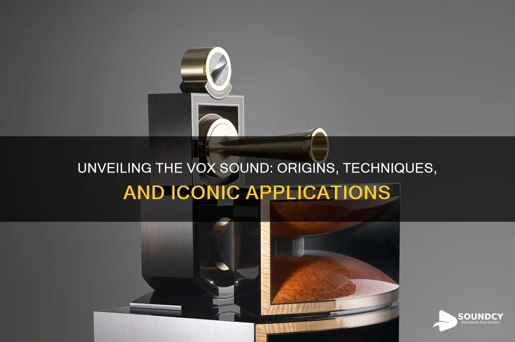 what is the vox sound