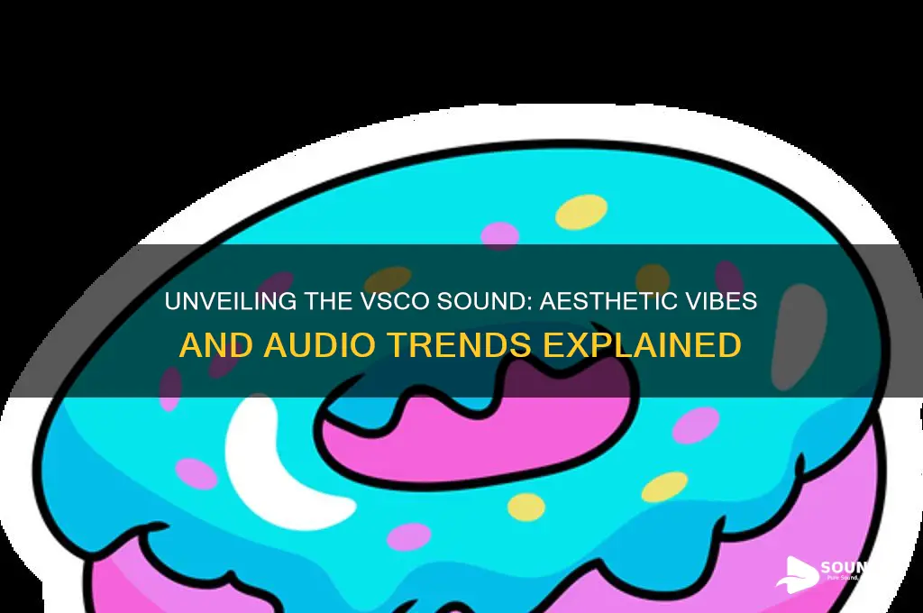 what is the vsco sound
