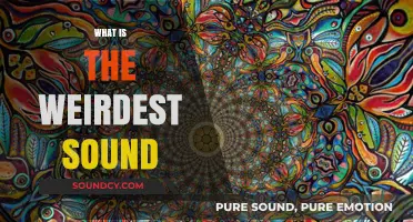 Unraveling the Bizarre: Exploring the World's Strangest and Oddest Sounds