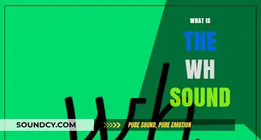 Understanding the WH Sound: A Comprehensive Guide to Its Pronunciation and Usage