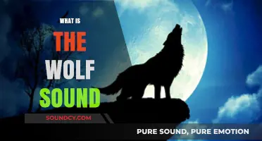 Understanding the Wolf's Howl: Exploring the Meaning Behind the Sound