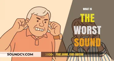 The Most Unbearable Noises: Exploring the Worst Sounds Known to Humans