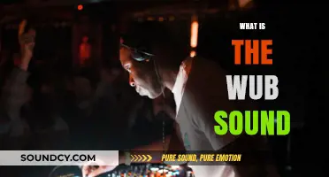 Understanding the Wub Sound: Origins, Meaning, and Cultural Impact Explained
