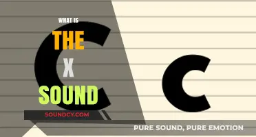 Understanding the X Sound: Phonetics, Pronunciation, and Common Uses Explained