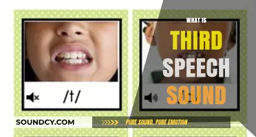 Understanding the Third Speech Sound: A Comprehensive Guide to Its Role