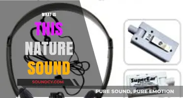 Unveiling the Mystery: Identifying and Understanding Nature's Sounds