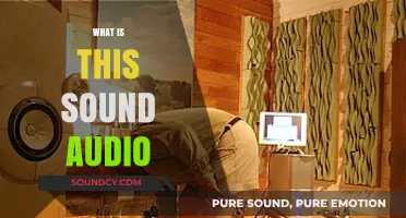 Unraveling the Mystery: What Is This Sound in Your Audio?