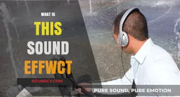 Unraveling the Mystery: What is This Sound Effect and How Does it Work?