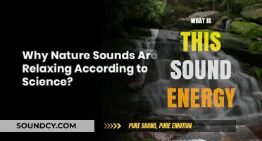 Unveiling the Power of Sound Energy: Understanding Its Nature and Impact
