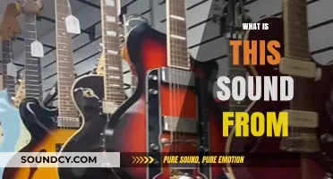 Unraveling the Mystery: Identifying the Source of Unknown Sounds