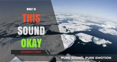 Decoding the Mystery: Understanding the Sound That’s Got You Wondering