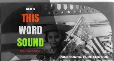 Exploring the Meaning and Origins of the Word 'Sound' in Language