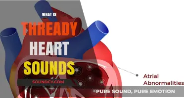 Understanding Thready Heart Sounds: Causes, Diagnosis, and Clinical Significance