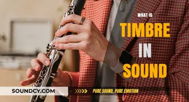 Understanding Timbre: The Unique Color and Texture of Sound