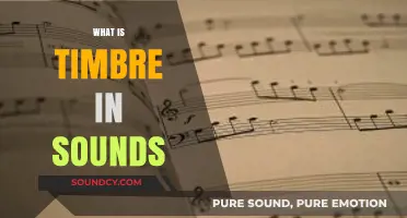 Understanding Timbre: The Unique Color and Texture of Sounds