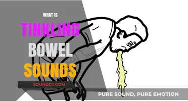 Understanding Tinkling Bowel Sounds: Causes, Symptoms, and When to Seek Help