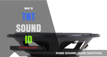 Exploring TNT Sound ID: A Comprehensive Guide to Its Uses and Features
