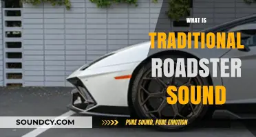 Exploring the Timeless Roar of Traditional Roadster Sound