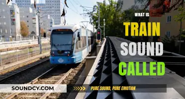 The Unique Noise of Trains: Exploring the Sound They Make