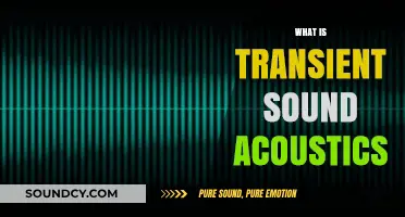 Understanding Transient Sound Acoustics: Definition, Impact, and Applications