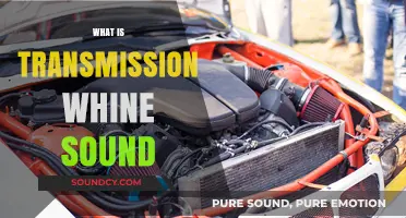 Understanding Transmission Whine: Causes, Diagnosis, and Effective Solutions Explained