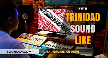 Trinidad's Vibrant Soundscape: A Musical Journey Through Culture and Rhythm