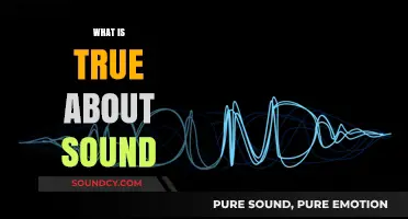 Unveiling the Science: What's Truly Accurate About Sound Waves