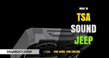Understanding the TSA Sound Jeep: Purpose, Function, and Airport Security