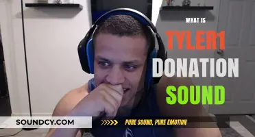 Tyler1 Donation Sound: Unveiling the Iconic Alert Behind the Streamer's Success