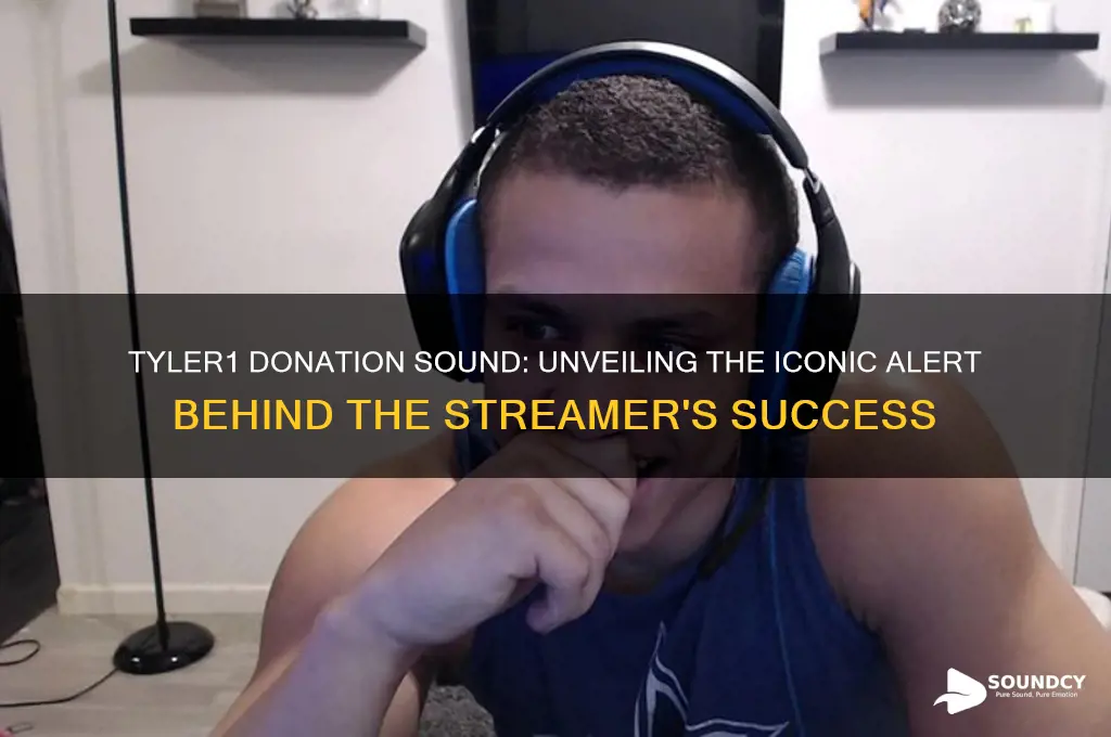 what is tyler1 donation sound