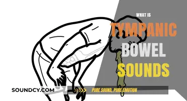 Understanding Tympanic Bowel Sounds: Causes, Symptoms, and Clinical Significance