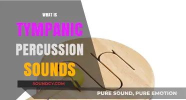 Understanding Tympanic Percussion Sounds: A Comprehensive Guide for Medical Professionals