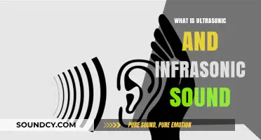 Ultrasonic and Infrasonic Sounds: Exploring the Sonic Spectrum