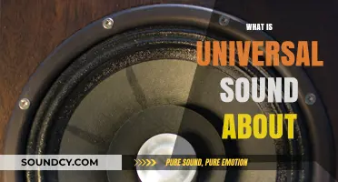 Exploring the Essence and Impact of Universal Sound in Our Lives