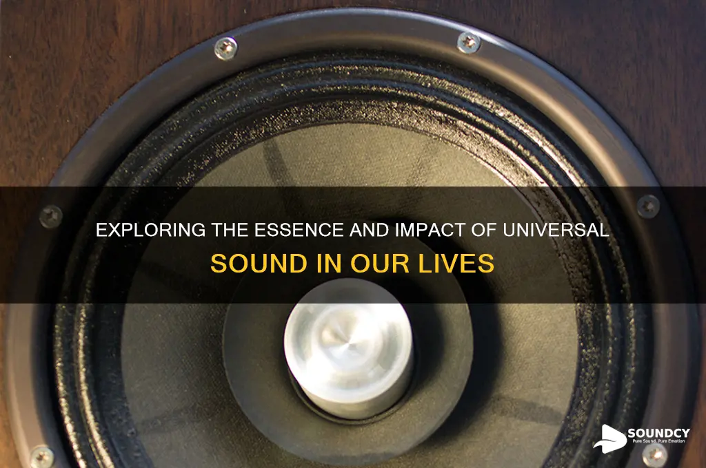 what is universal sound about