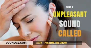 Unpleasant Sounds Explained: Understanding the Science Behind Noise Pollution