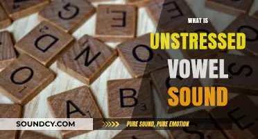 Understanding Unstressed Vowel Sounds: A Comprehensive Guide to Pronunciation