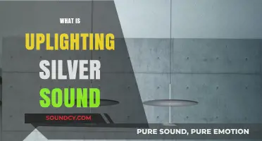 Enhance Your Event with Uplighting Silver Sound: A Complete Guide
