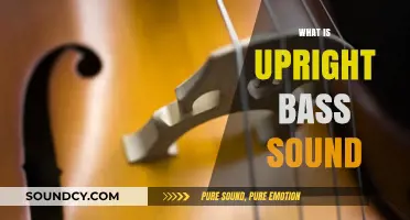 Exploring the Rich, Deep, and Versatile Upright Bass Sound