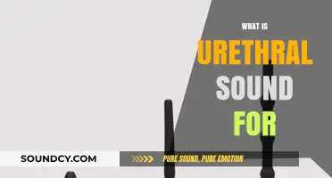 Understanding Urethral Sounds: Uses, Techniques, and Safety Explained